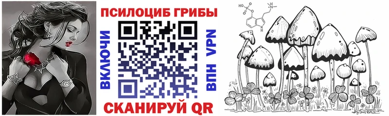Псилоцибиновые грибы Psilocybe  нарко площадка наркотические препараты  Козельск 